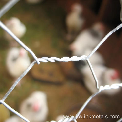 Galvanized Chicken Wire Hex Poultry Netting Roll Fencing